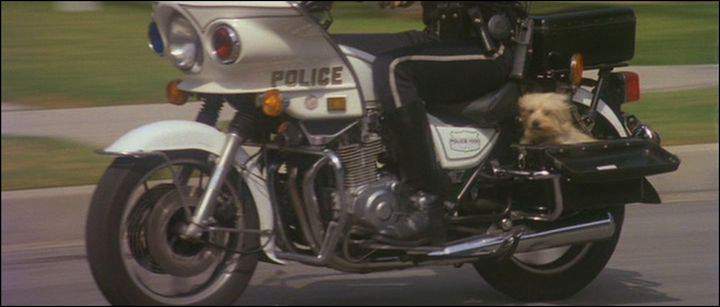 Kawasaki KZ 1000 P