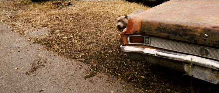 Buick Special Skylark