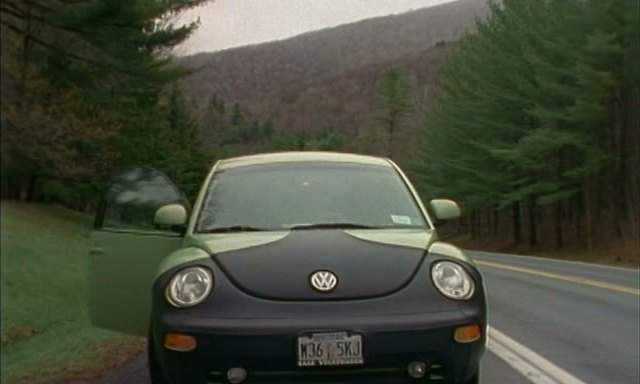 1998 Volkswagen New Beetle Typ 1C in Kaaterskill Falls