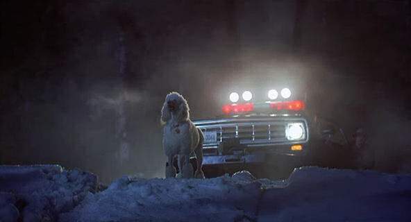Dodge D/W-Series