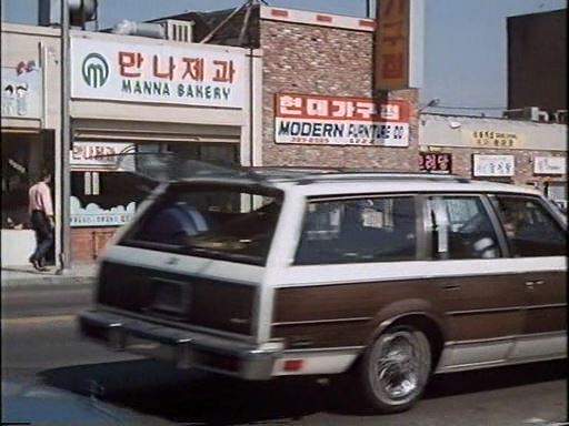 Buick Century Wagon