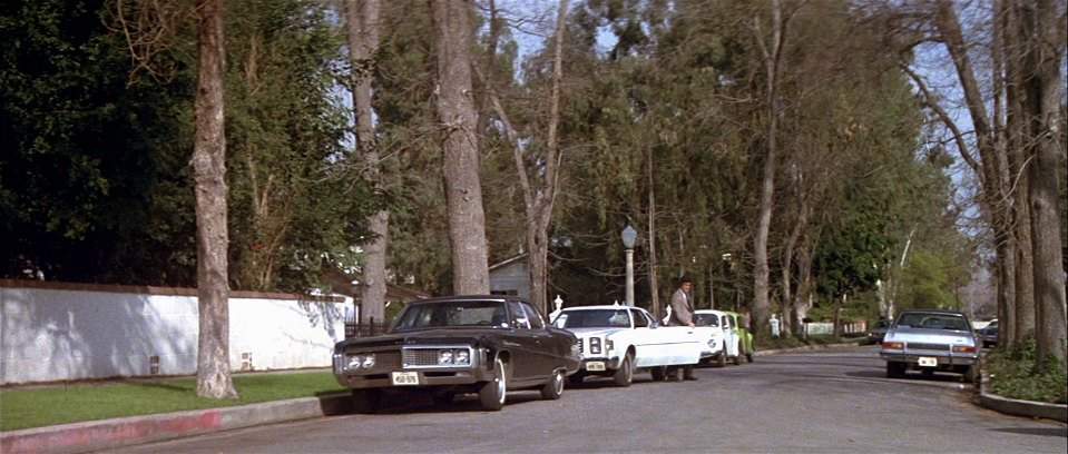 Buick Electra 225