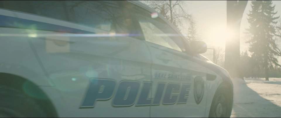 Ford Police Interceptor