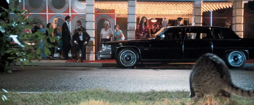 Cadillac Fleetwood Limousine