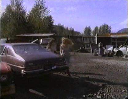 Buick Apollo