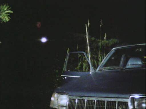 Mercury Lynx
