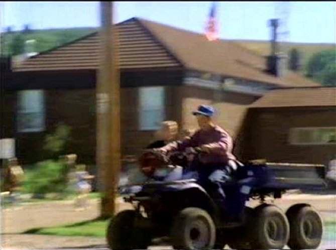 Polaris Big Boss 250