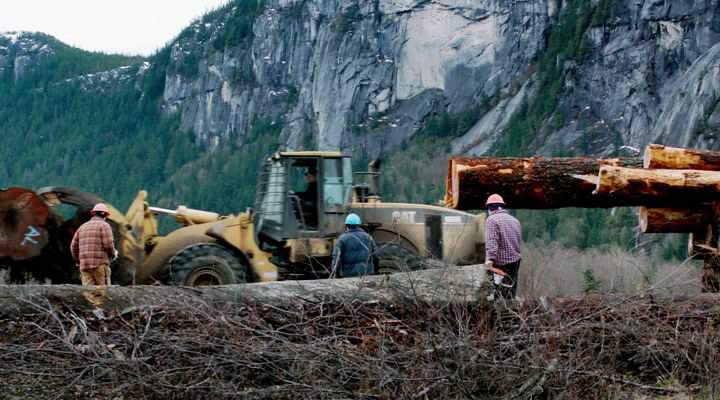 Caterpillar 966 G