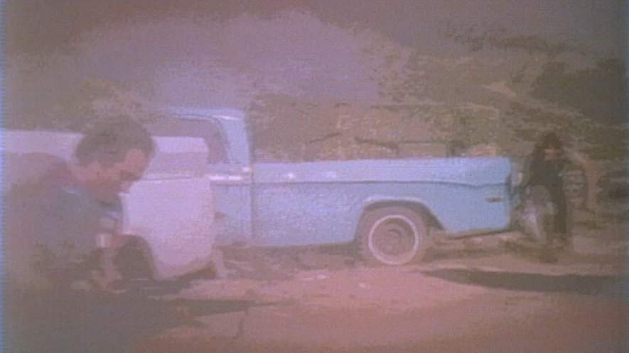 Dodge D-100