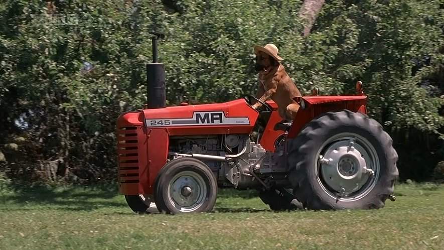 Massey Ferguson MF 245