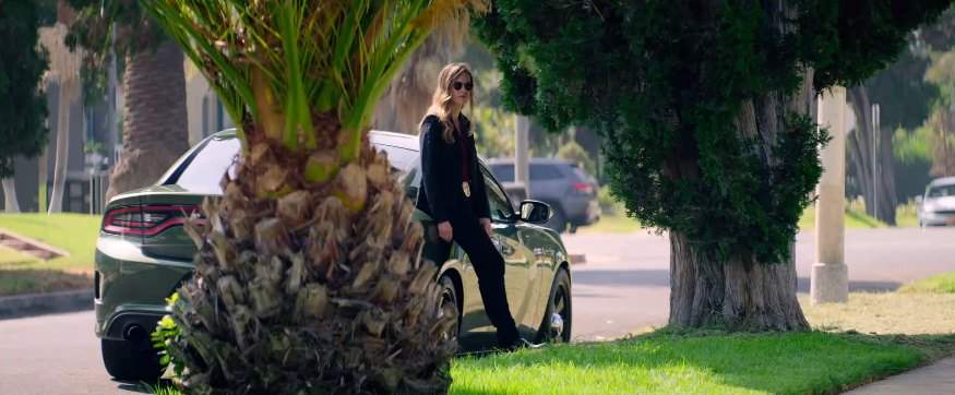 Dodge Charger Pursuit