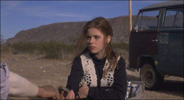 Volkswagen Station Wagon T2