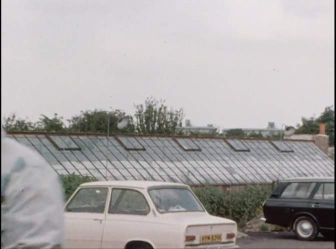DAF 44