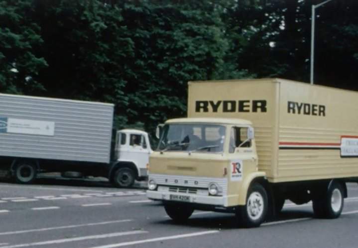 Leyland Terrier