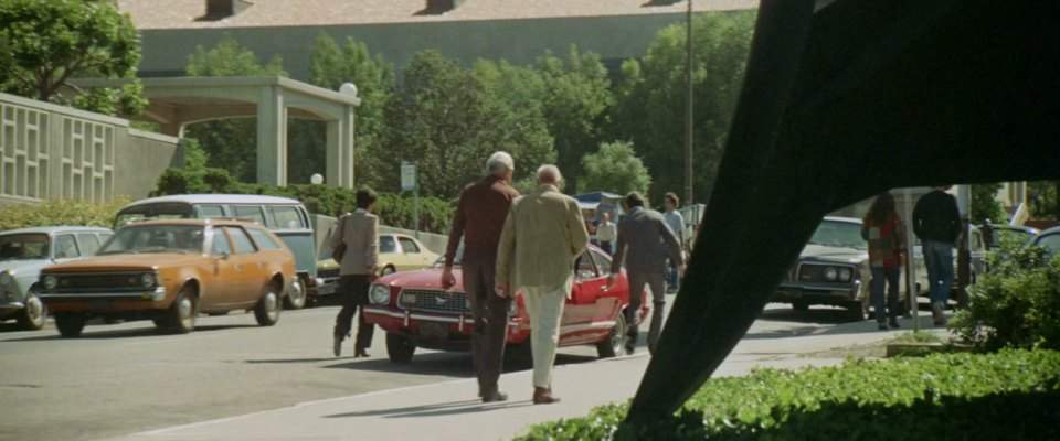 AMC Hornet Sportabout