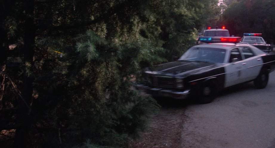 Dodge Monaco