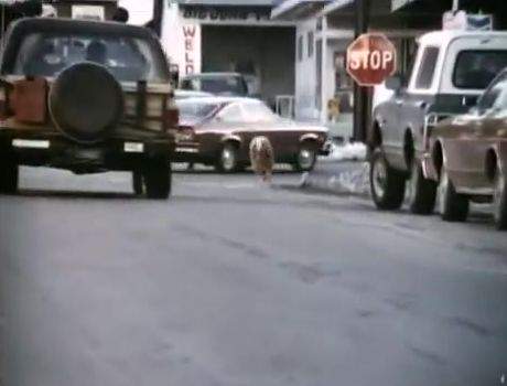 Chevrolet Blazer