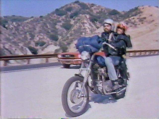 Triumph T 100