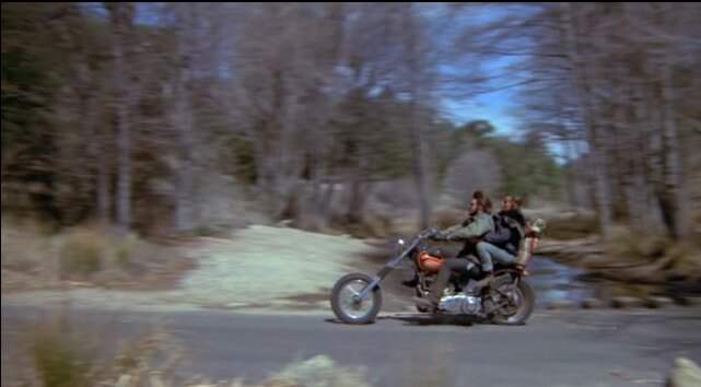 Harley-Davidson Chopper