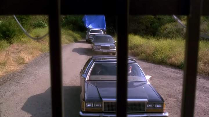 Lincoln Town Car Stretched Limousine