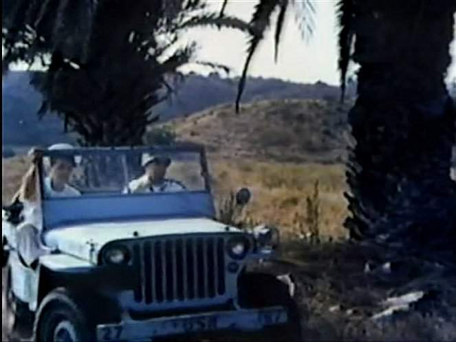 Willys MB 'Jeep'
