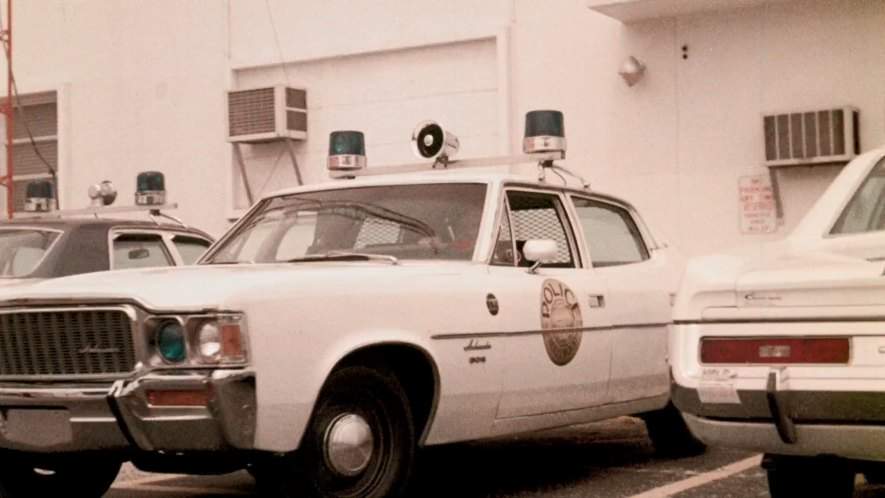 AMC Ambassador