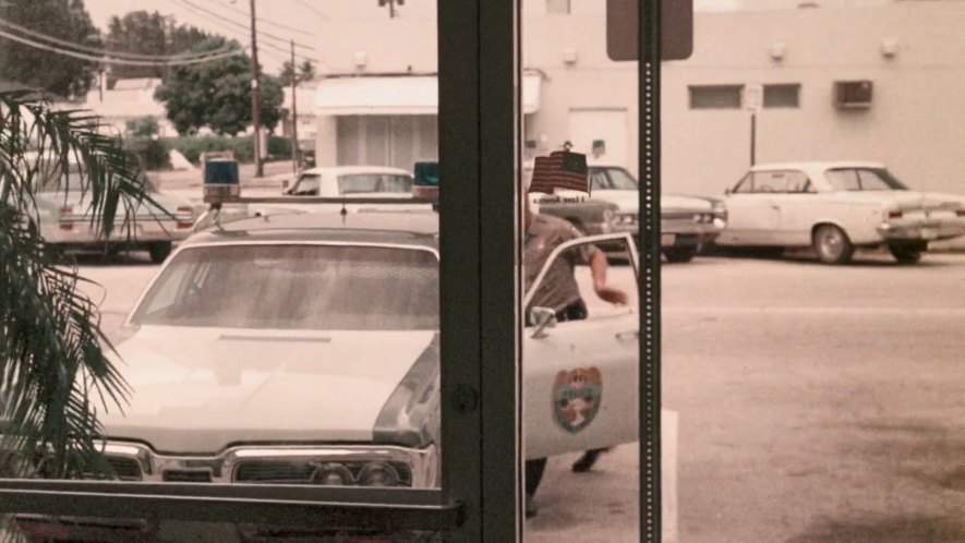 Rambler American Rogue