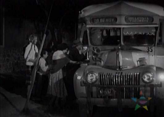 Ford Bus