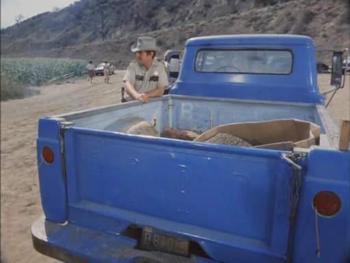 Ford F-Series