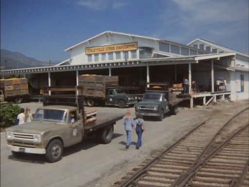 International Harvester D-Series