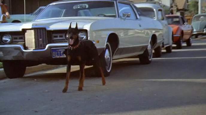 Ford LTD