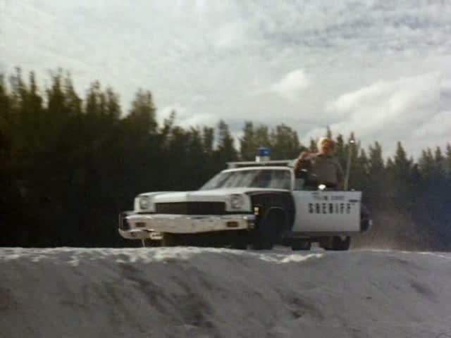 1973 Chevrolet Chevelle in Barracuda