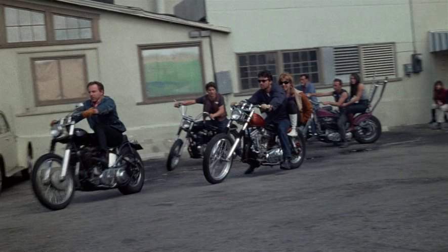 Harley-Davidson Custom Chopper