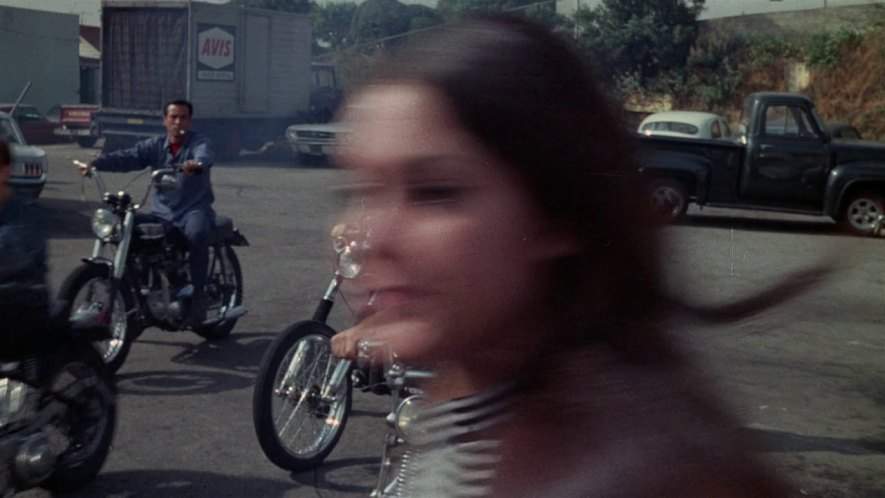 Triumph unknown