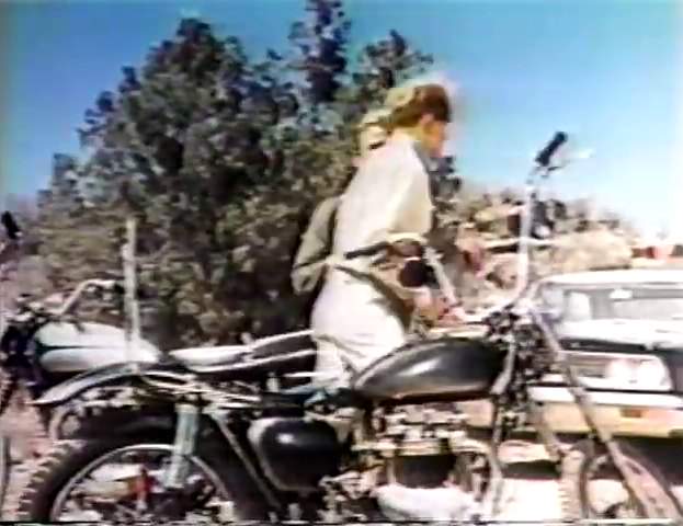 Triumph unknown