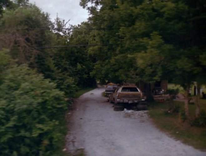 Ford LTD Country Squire