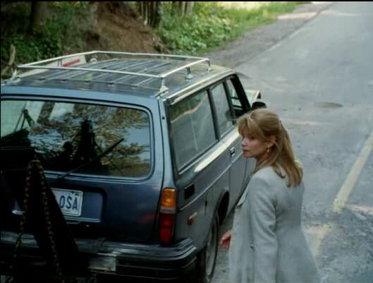 Volvo 245