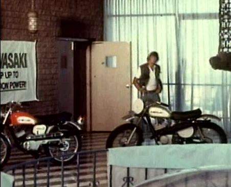 Kawasaki F21 M 250 Green streak