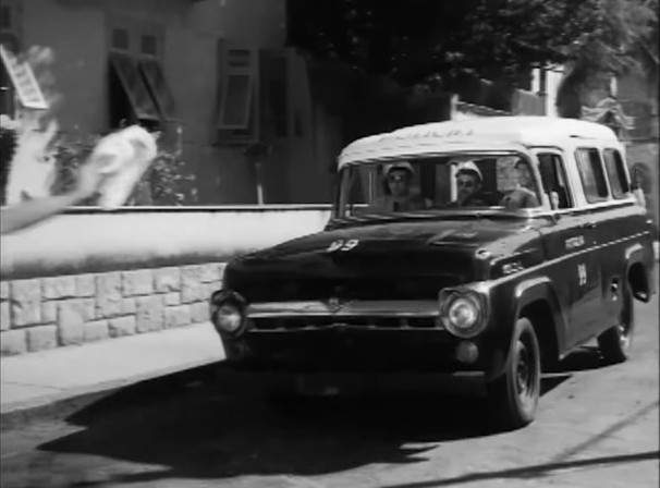Ford F-100 Panel