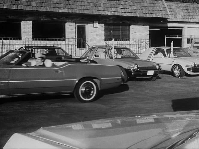 AMC Pacer
