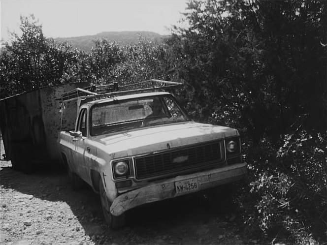 Chevrolet C-20