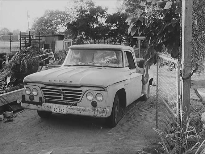 Dodge D-100