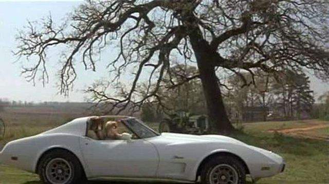 Chevrolet Corvette Stingray C3