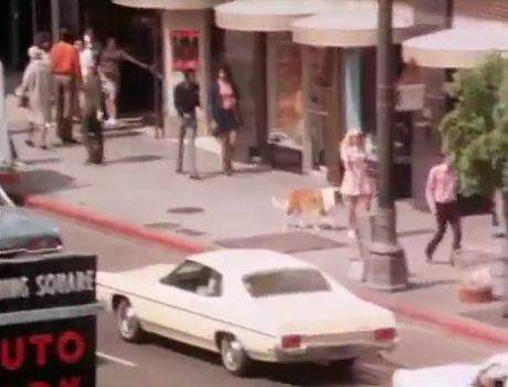 Ford Galaxie 500