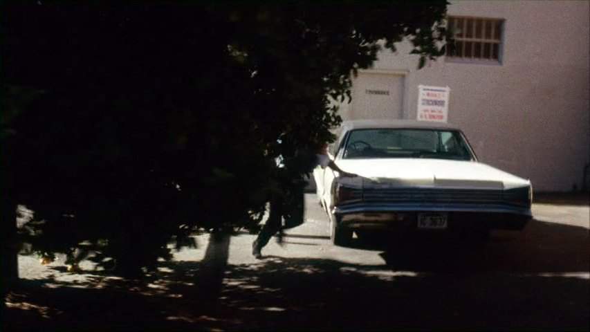Dodge Monaco