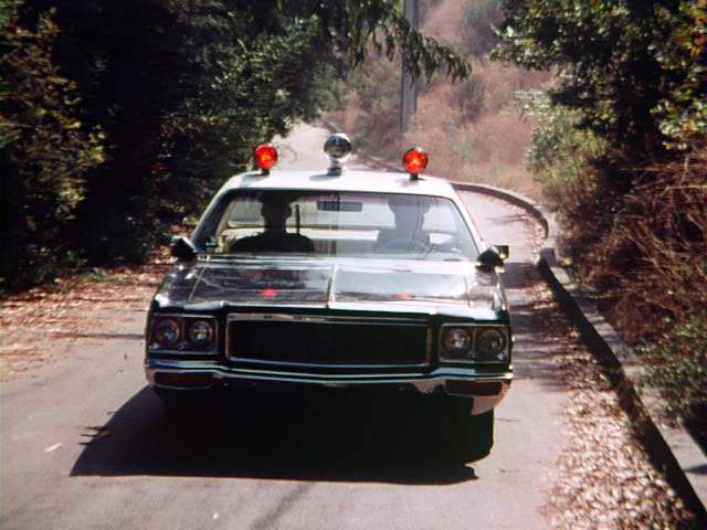 Dodge Polara