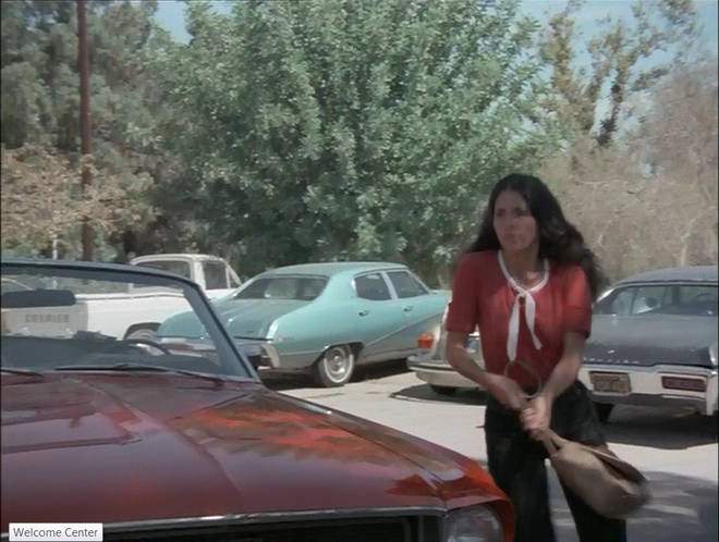 Buick Skylark