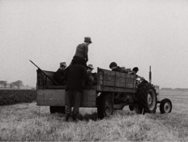 International Harvester 434