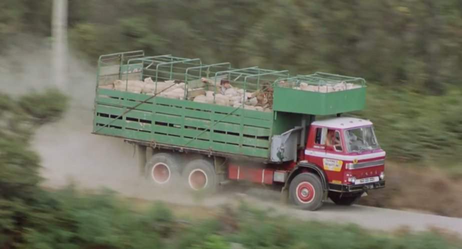 Ford D-Series