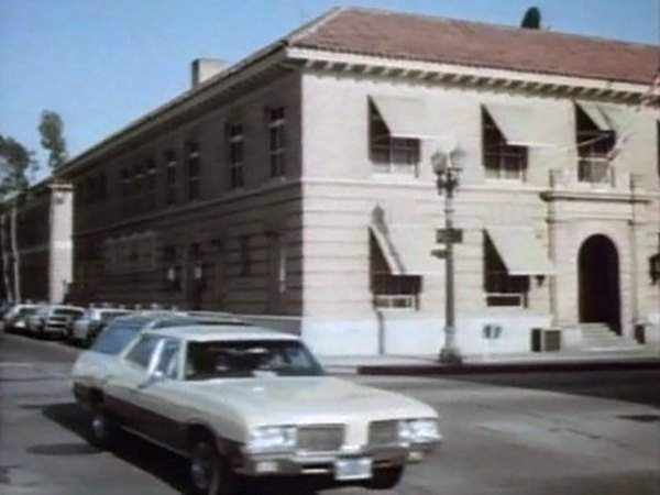 Oldsmobile Vista Cruiser